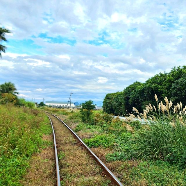 打卡日本最南端車站 - JR西大山站