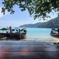 หมู่เกาะสุรินทร์สวรรค์นักดำน้ำ🐠🐋🌴🐬✨
