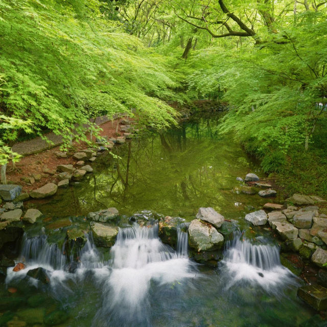 秀桐登山道：健行樂園 🏞️🌅