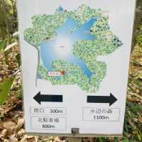 紅葉が見事だった【篠栗九大の森】森林浴で癒されました