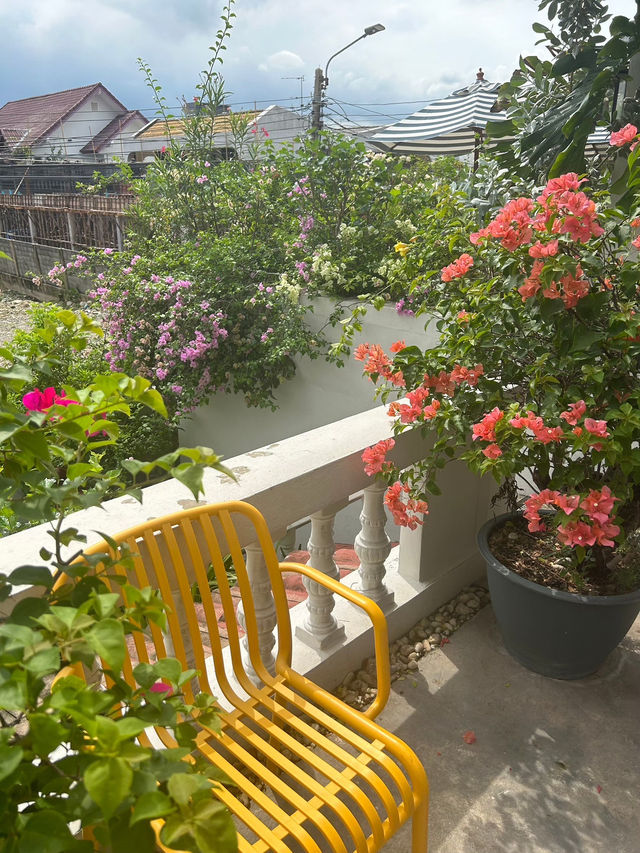 คาเฟ่สวนดอกไม้ Summer rain 🌸🌸🌸