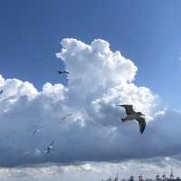 하늘이 너무 예뻤던 공원☁️