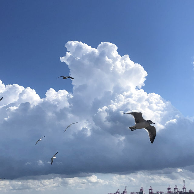 하늘이 너무 예뻤던 공원☁️