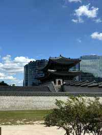 서울 코스