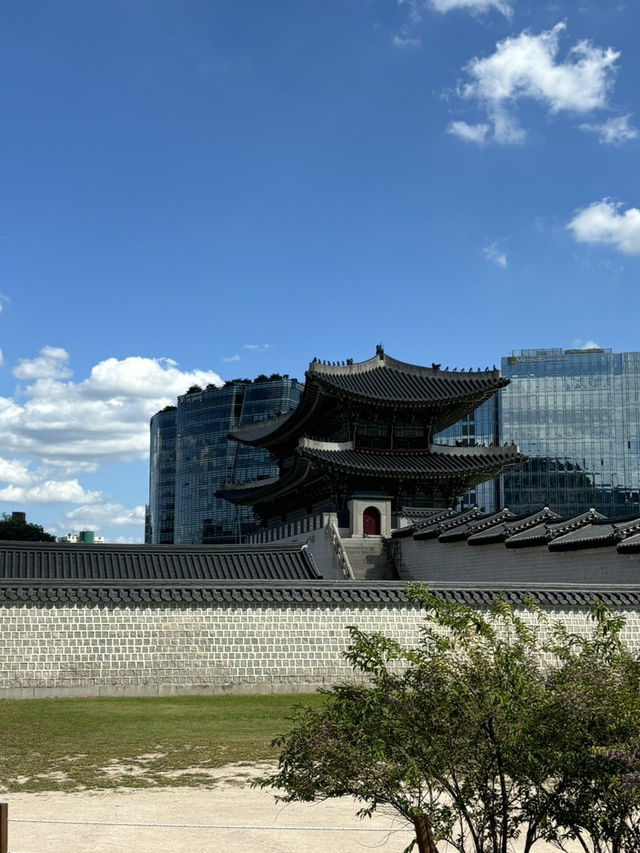서울 코스