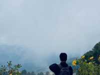 Thung Bua Tong Sunflower Fields 