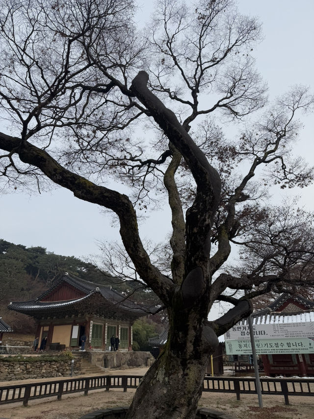 한 해를 차분히 마무리 하기 좋은 곳 ‘전등사’