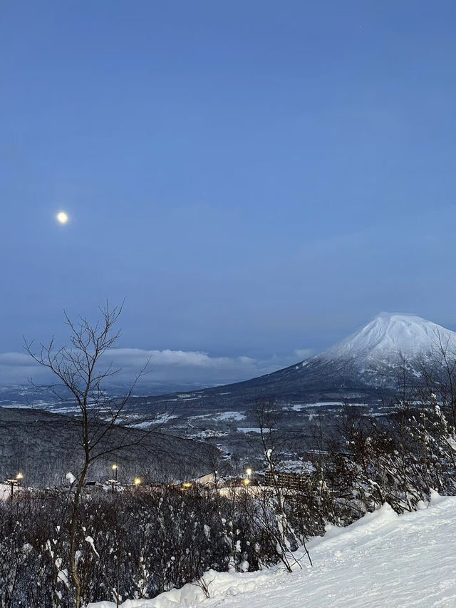 Powder Paradise: Skiing into a Christmas Wonderland in Hokkaido