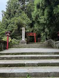 🇯🇵東京近郊⛩️箱根快閃一日遊行程