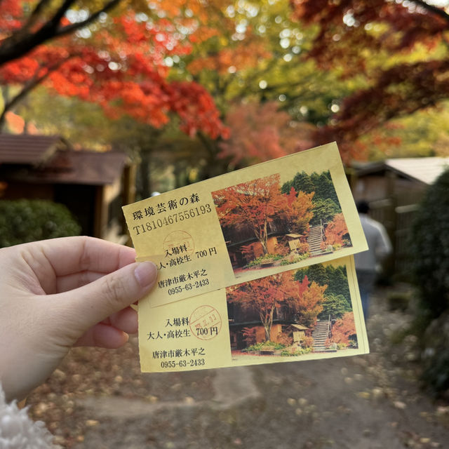 🇯🇵園境師花30年打造的絕美森森 超過萬棵楓葉樹🍁