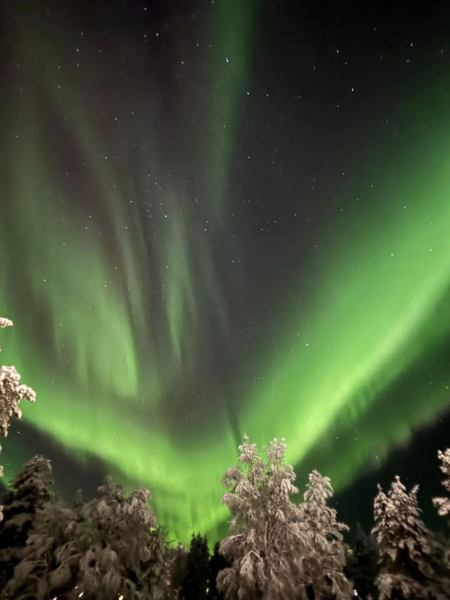 Chasing Aurora in Mohe: The Coldest Light Show You’ll Ever See