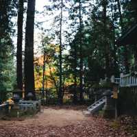 Sakurayama Hachimangu Shrine