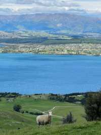Trip to Wanaka