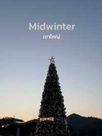 เดินเล่น Midwinter ถ่ายต้นคริสต์มาสสวยๆ 🎄