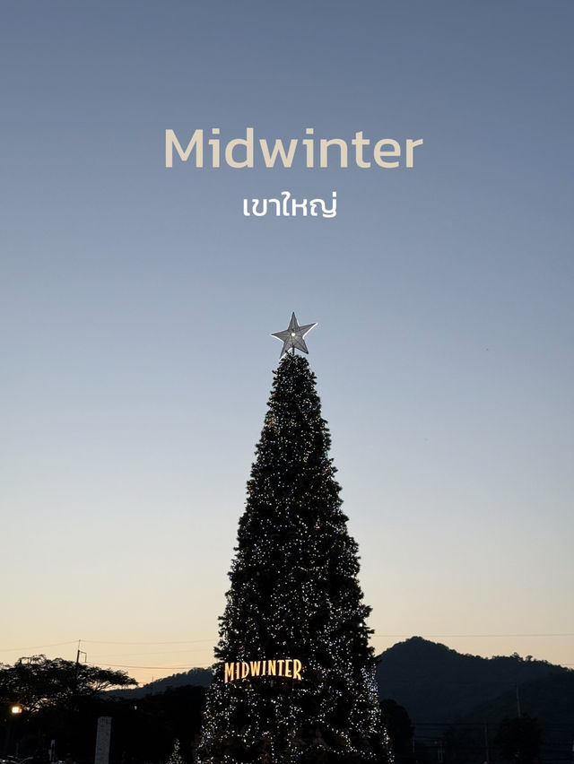 เดินเล่น Midwinter ถ่ายต้นคริสต์มาสสวยๆ 🎄