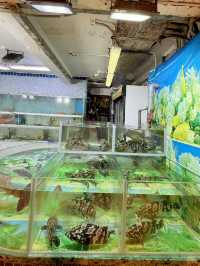  西貢高質新鮮海鮮🦞