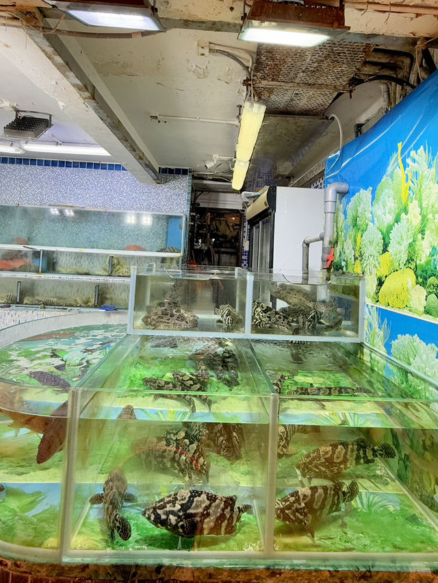  西貢高質新鮮海鮮🦞