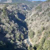 Talllest suspension walking bridge in Japan