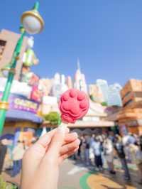 クリスマスの上海ディズニー✨