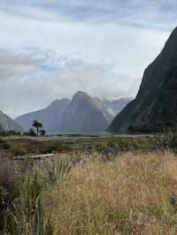 Majestic Milford Sound, NZ