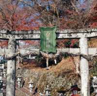 桑田神社 可能是龜岡唯一景點