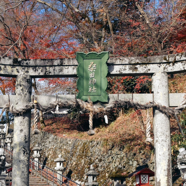 桑田神社 可能是龜岡唯一景點