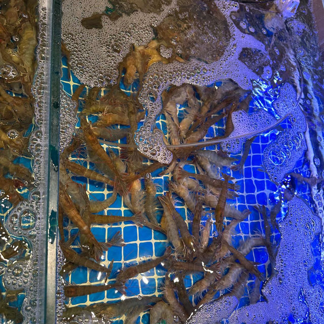 任夾活蝦泰式火鍋🍲🩷