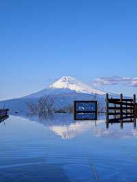 【静岡🇯🇵】逆さ富士を見に行こう🗻