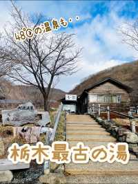 【冬の栃木那須の旅】  栃木最古の湯  48℃の湯が・・ポカポカ すべすべ