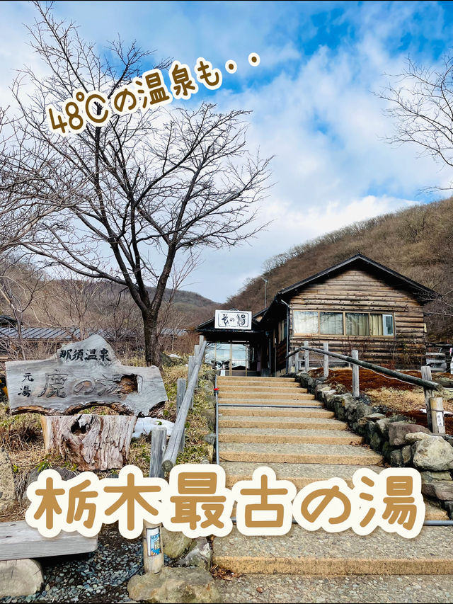 【冬の栃木那須の旅】  栃木最古の湯  48℃の湯が・・ポカポカ すべすべ
