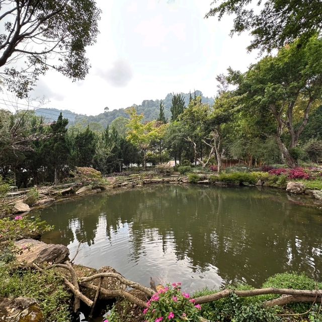 ชมดอกไม้สวยๆ ที่สถานีเกษตรหลวงอินทนนท์