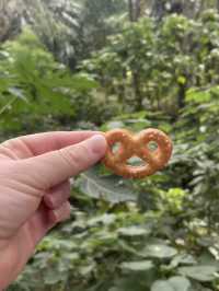 A Morning to Remember: Coffee and Cookies in the Garden