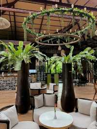 rain forest Cafe in the Hill