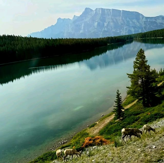 Banff National Park