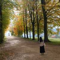 Chatsworth house🍂