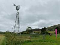 Littlewood Berry Farm 