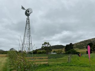 Littlewood Berry Farm 