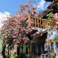 Where Blossoms Meet the Mountains: A Hidden Escape in Lijiang