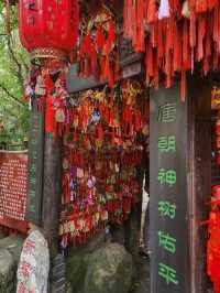 ✨Summer in WuhouCi Chengdu✨