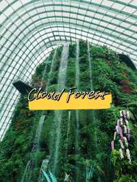 Cloud Forest ที่เที่ยวสิงคโปร์ห้ามพลาด