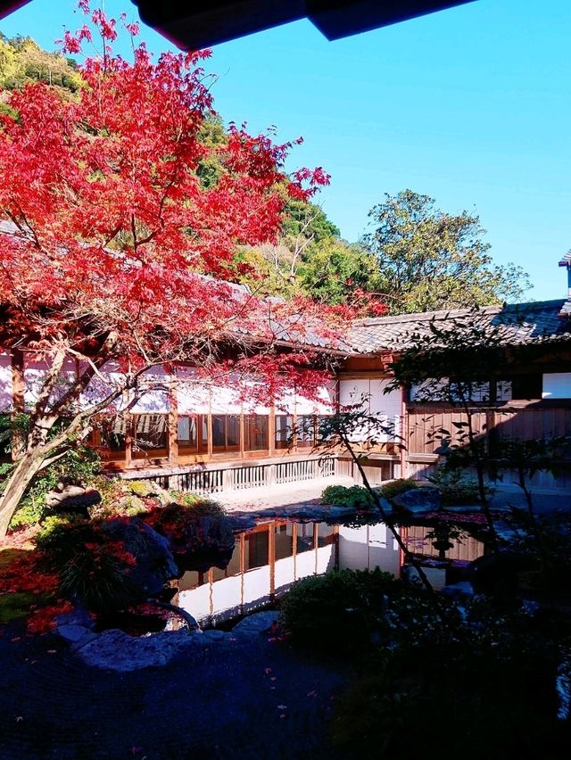 鹿兒島世界文化遺產日本庭園「仙巌園」