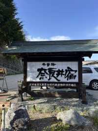 【長野】レトロな駅舎🚉沿線に梅が咲き誇る駅