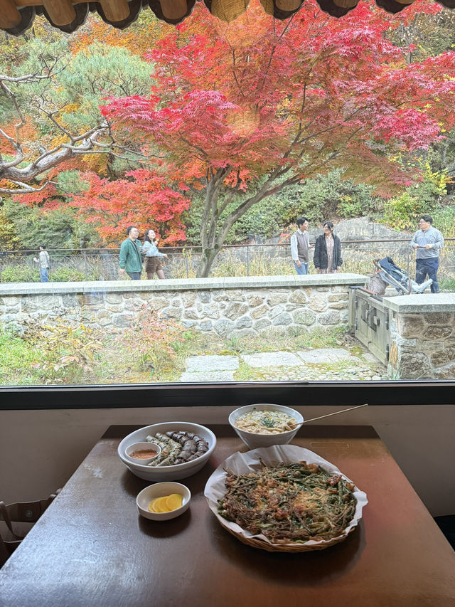 AUTUMN IN SEOUL 🇰🇷🍂🍁