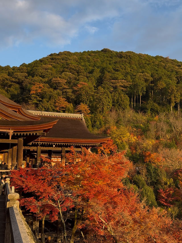 Sunset at Kiyomizudera: A Dreamy Autumn Experience in Kyoto