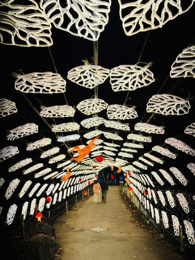 ✨🌈 伊豆ぐらんぱる公園「グランイルミ」日本屈指の体験型イルミネーション！ 🌈✨