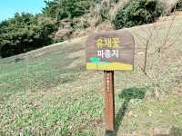 👍👍 이곳은 강력 추천!!
