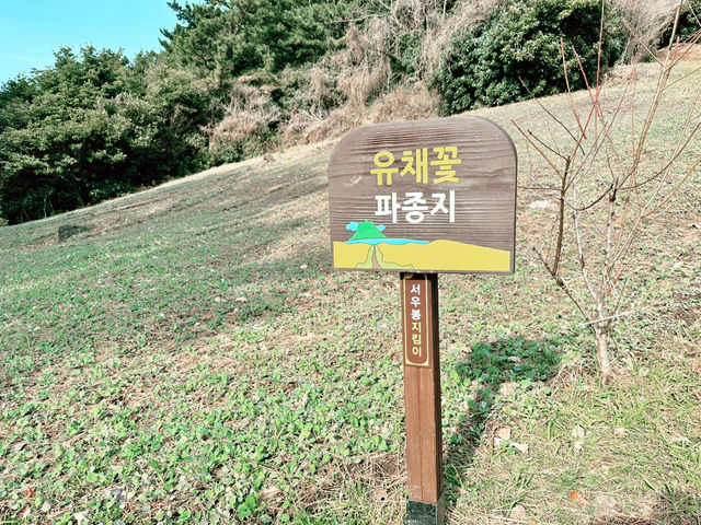 👍👍 이곳은 강력 추천!!