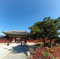 Amazing views of Changdeokgung Palace