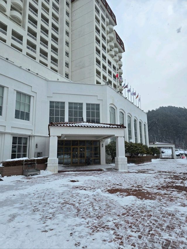 키즈프랜들리 호텔다운 조식이 있는곳💙
