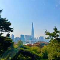 산책하기 좋은 서울공원 3곳 🌳